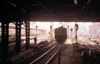 �V�h �N���j83