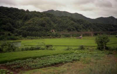 �w��`���� ��������y�������Ɍ����鉺���