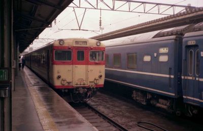 �X �[�Y �L�n58454�@�������͓��{�C�H