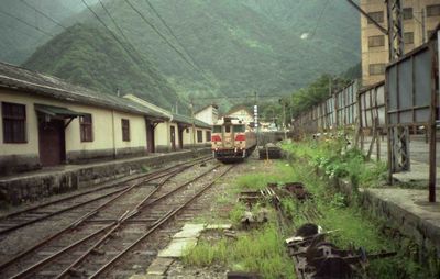 �F�ތ����� �k�A���v�X