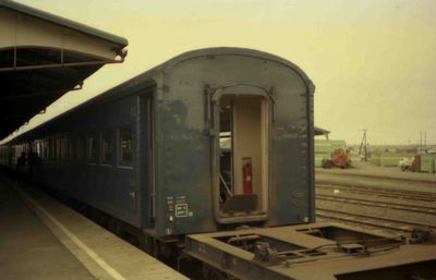 ���� 442���