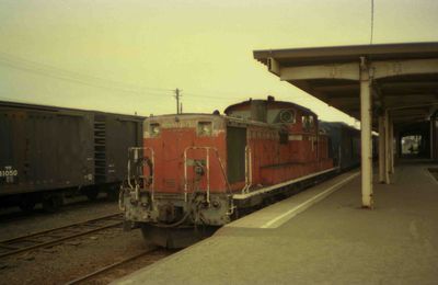 ���� 442���