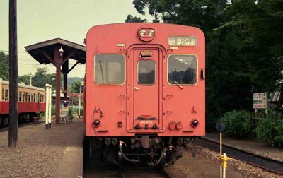 �㑍���� 768D