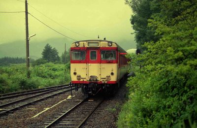 ��ӎR 229D �L�n58459