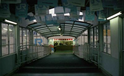 �F�� �F���A���D�P�� �y����