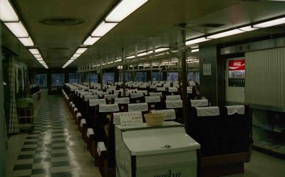 �F�� �F���A���D�P�� �y���� �P�K�O���[���D��