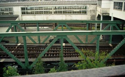 �F�� �F���A���D�P�� �y���ۂ��