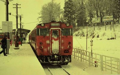 �ˎ��򉷐� 133D