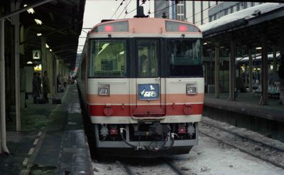 �D�y ��������X�� �L�n183-504