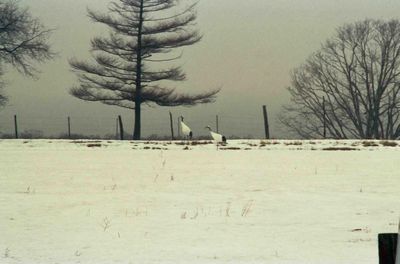 �����w�z�[�����