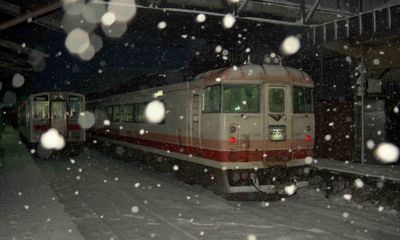 �ԑ� �I�z�[�c�N�Q�� �L�n183-103