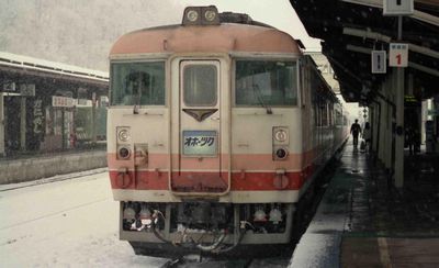 �ԑ� �I�z�[�c�N�Q�� �L�n183-103