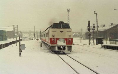 ���y �I�z�[�c�N�Q��