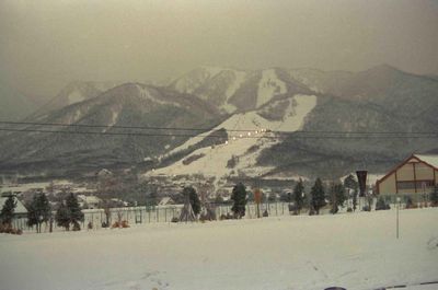 �w�c�`�x�ǖ� 631D���x���_�[��� �x�ǖ�X�L�[��