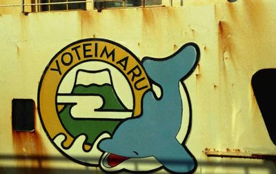 ���� ���A���D�W�֗r����