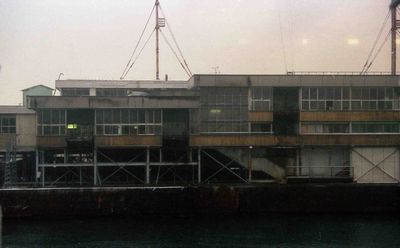 �X ���A���D�W�֗r���ۂ���