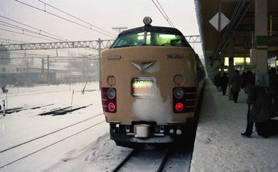 �X �͂���Q�U�� �N���n481-1011