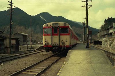 �ɐ����� 428D �L�n282175