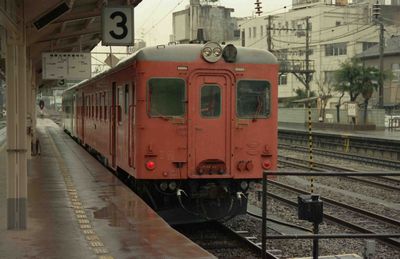 ���� 131D �L�n5243