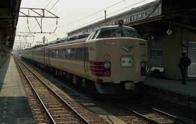 �V�� �N�n481-1019 �w�b�h�}�[�N�u���ʁv