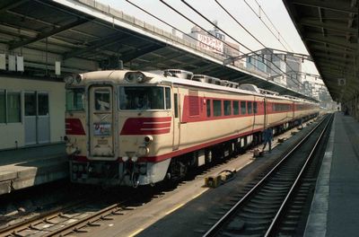 ���É� �Ђ��T�� �L�n8276