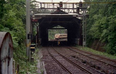 �J �΂�9��