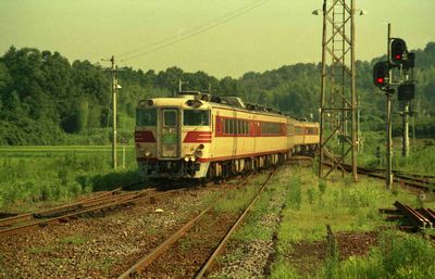 ���C ��I�T�� �L�n8296