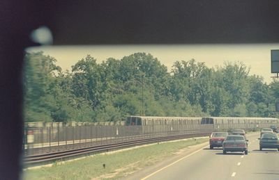 ���V���g���c�D�b�D �n���S