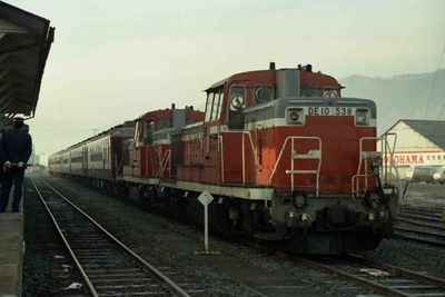 �����ԗ� DE10539 ���̓I���G���g�T���[��