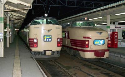 �X �� ������W�� �N�n481-1001 �E �N�n481-29