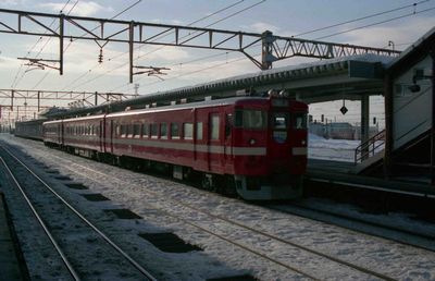 �〈�� �������胉�C�i�[3231M�@�N�n711-215