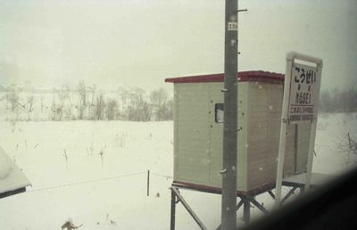 �K���w�ҍ���