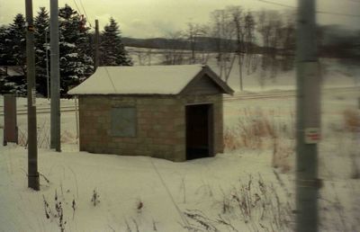 �k���w�ҍ���