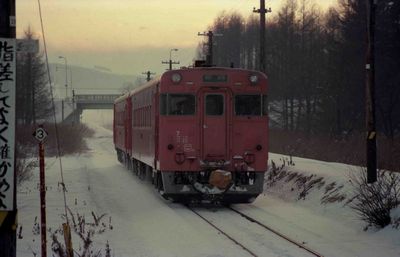 �J���w 654D�@�L�n247