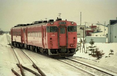 �����̗������w�O 1650D �L�n40189