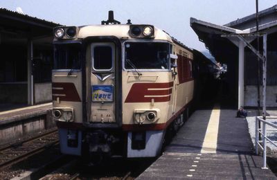 �l�� �͂܂����P�� �L�n181-44