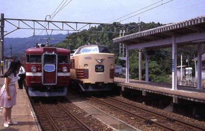 �ߍ]���� 295M �N�n455-60 ���炳���V��