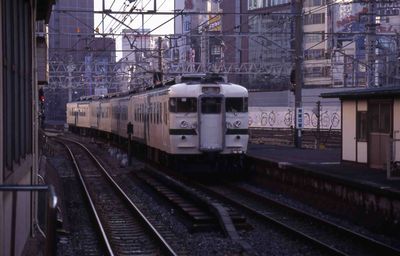 �V�h �t�b�s�[���悳�� �N���n169-1