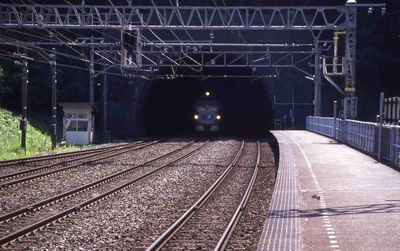 ���� ����