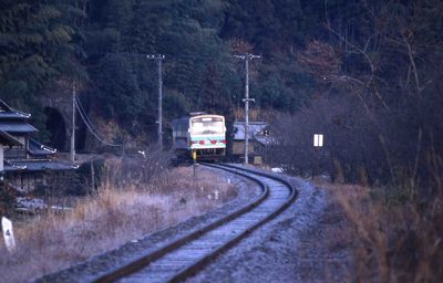 �䏯 �ѐ�S��528D NT-2005