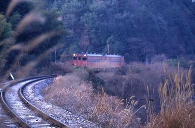 �쐼 128D �O�L�n233 �� �L�n2329