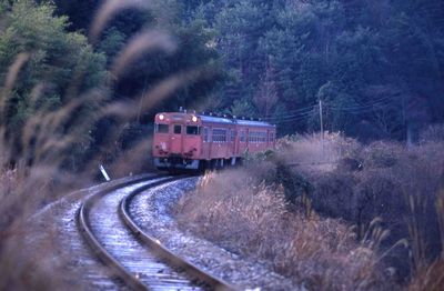 �쐼 128D �O�L�n233 �� �L�n2329