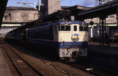 ���S �ӂ邳�ƍ� EF651120