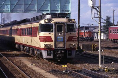 �v�c �����S�� �L�n181-101