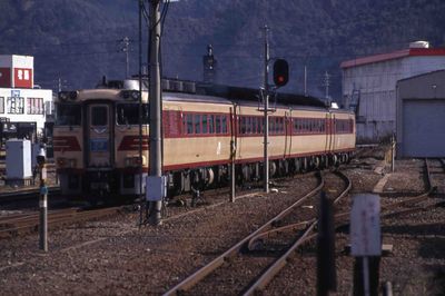 �v�c �����S�� �L�n181-101